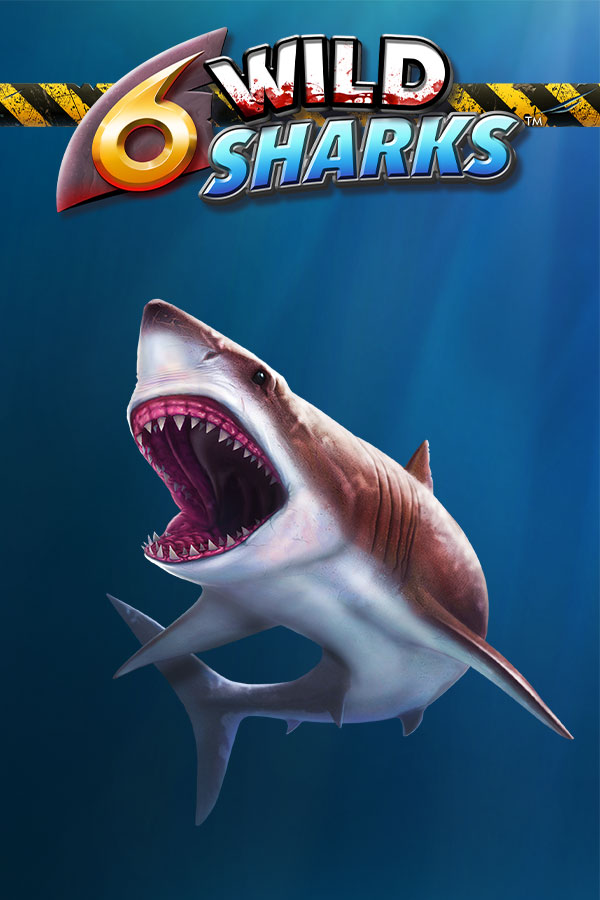 6 Wild sharks?height=600