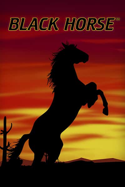 Black Horse?height=600