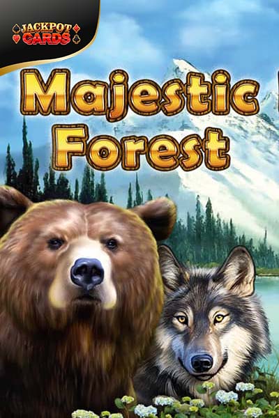 Majestic Forest?height=600