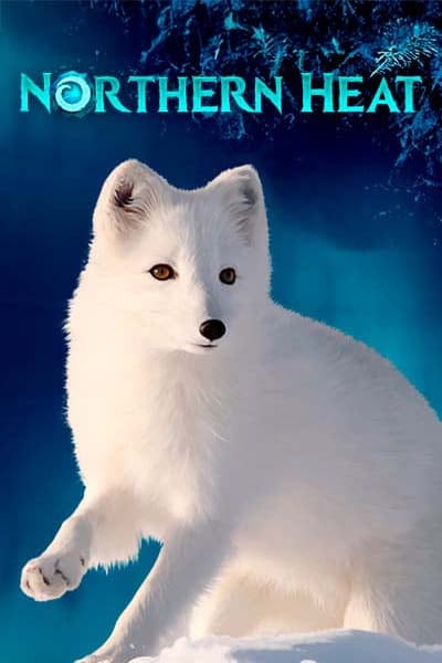 Northern Heat?height=600