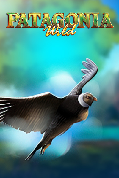 Patagonia Wilds?height=600