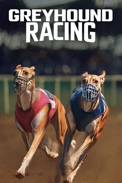 Greyhound Racing?height=600